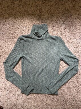 Madewell Heathered Sage Ribbed Turtleneck